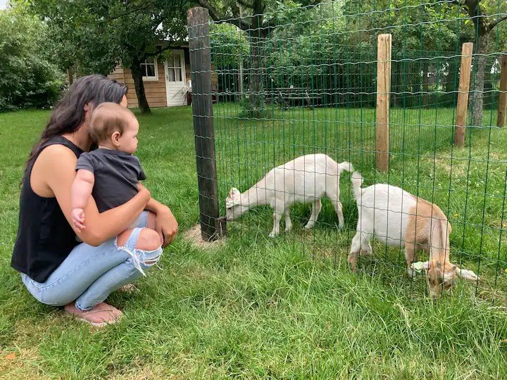 moeder en kind bij geitjes