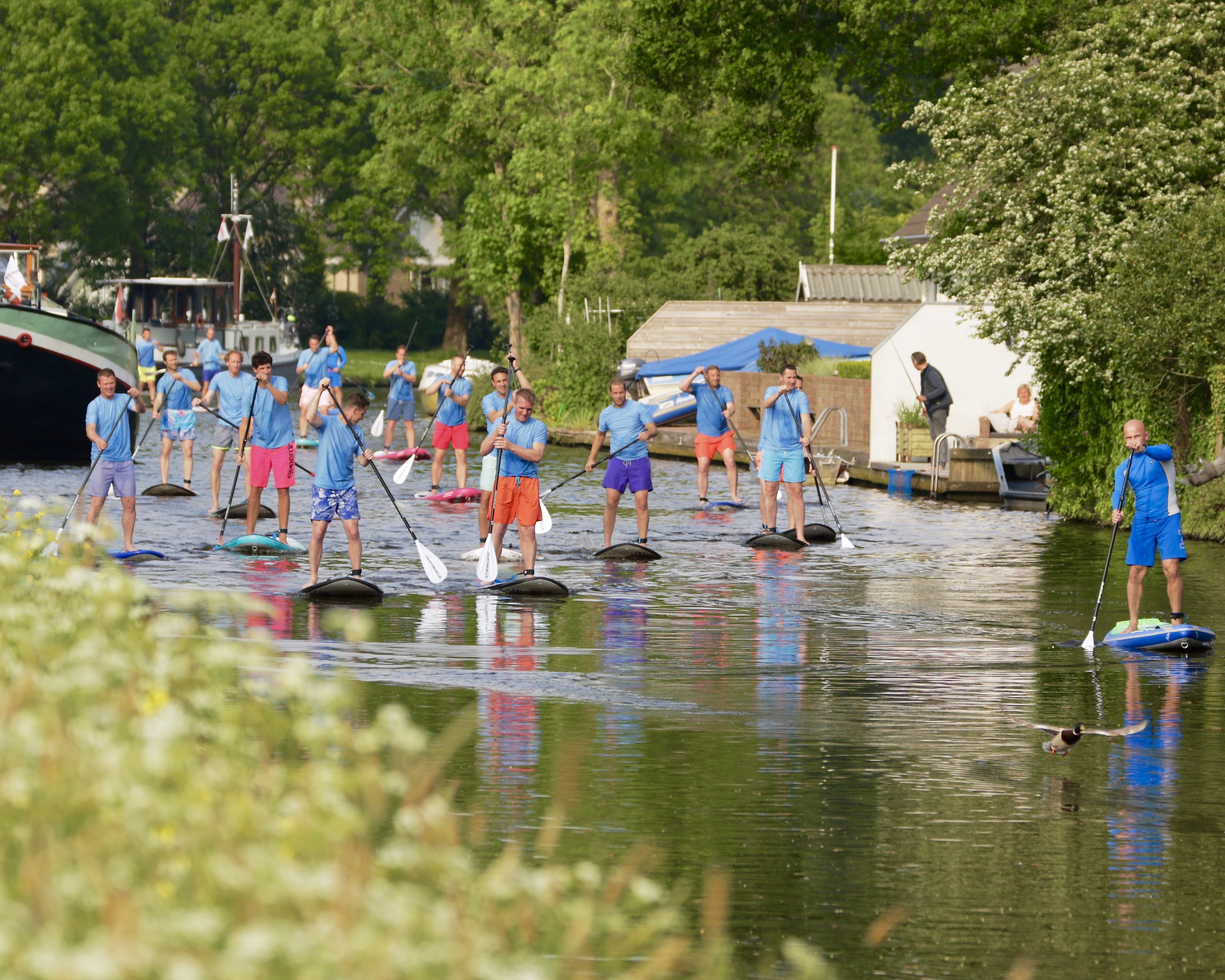 Pro-Sup (1)