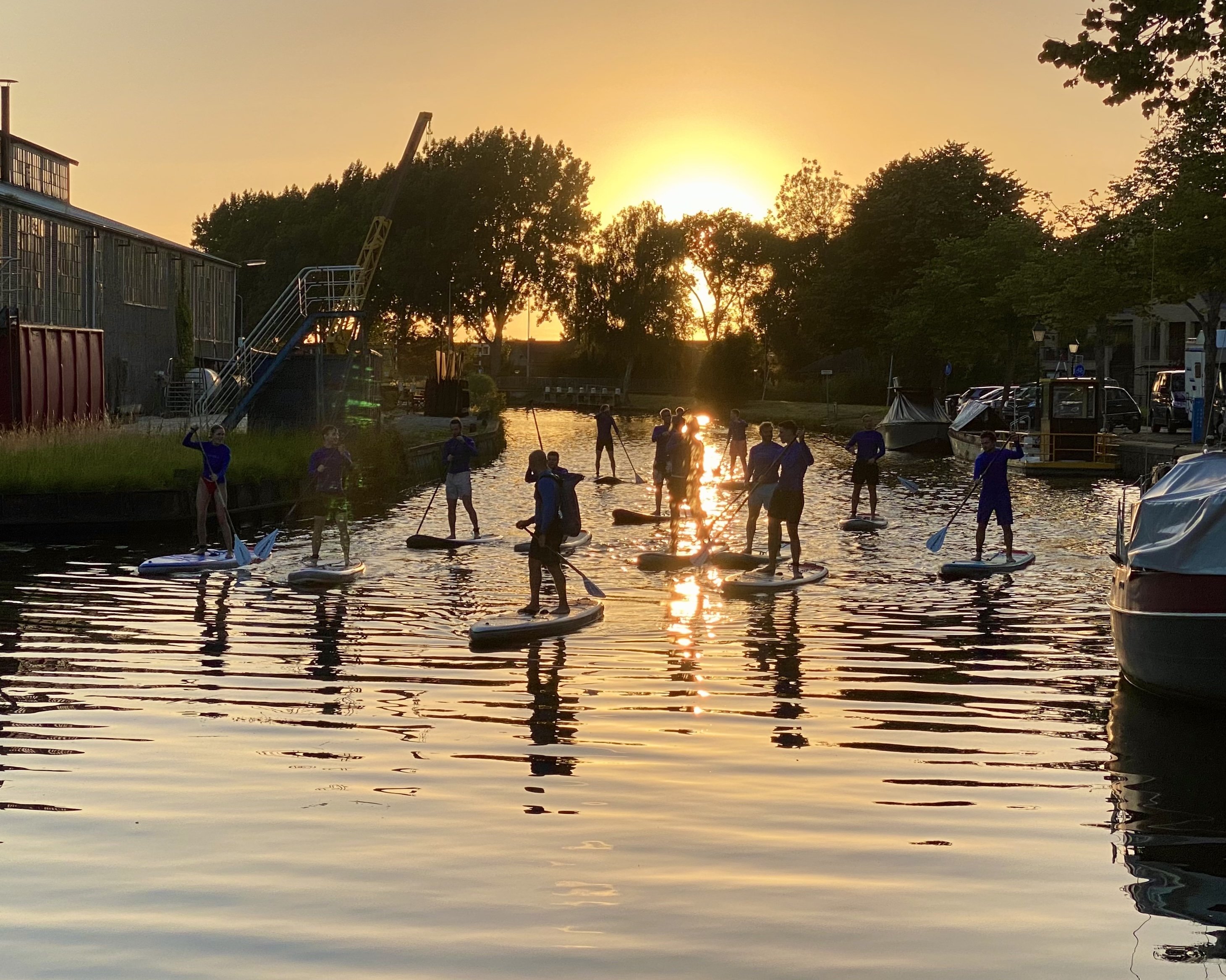 Pro-Sup (5)