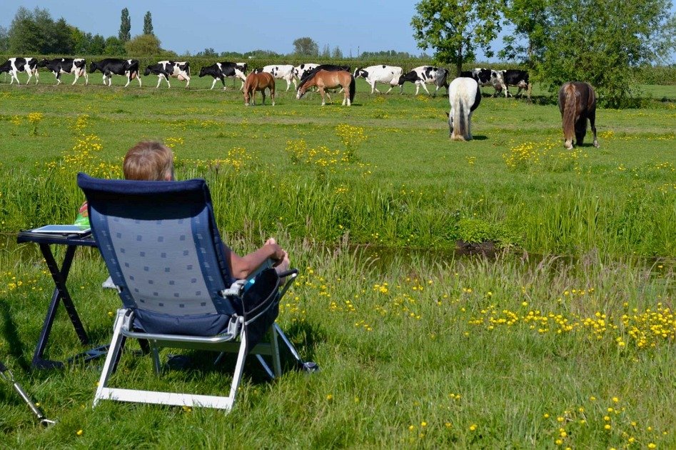 Recreatie_Landschap_Rosenboom_b