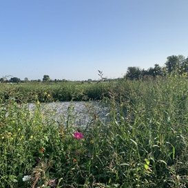 Auteur Waterlinie Hoeve