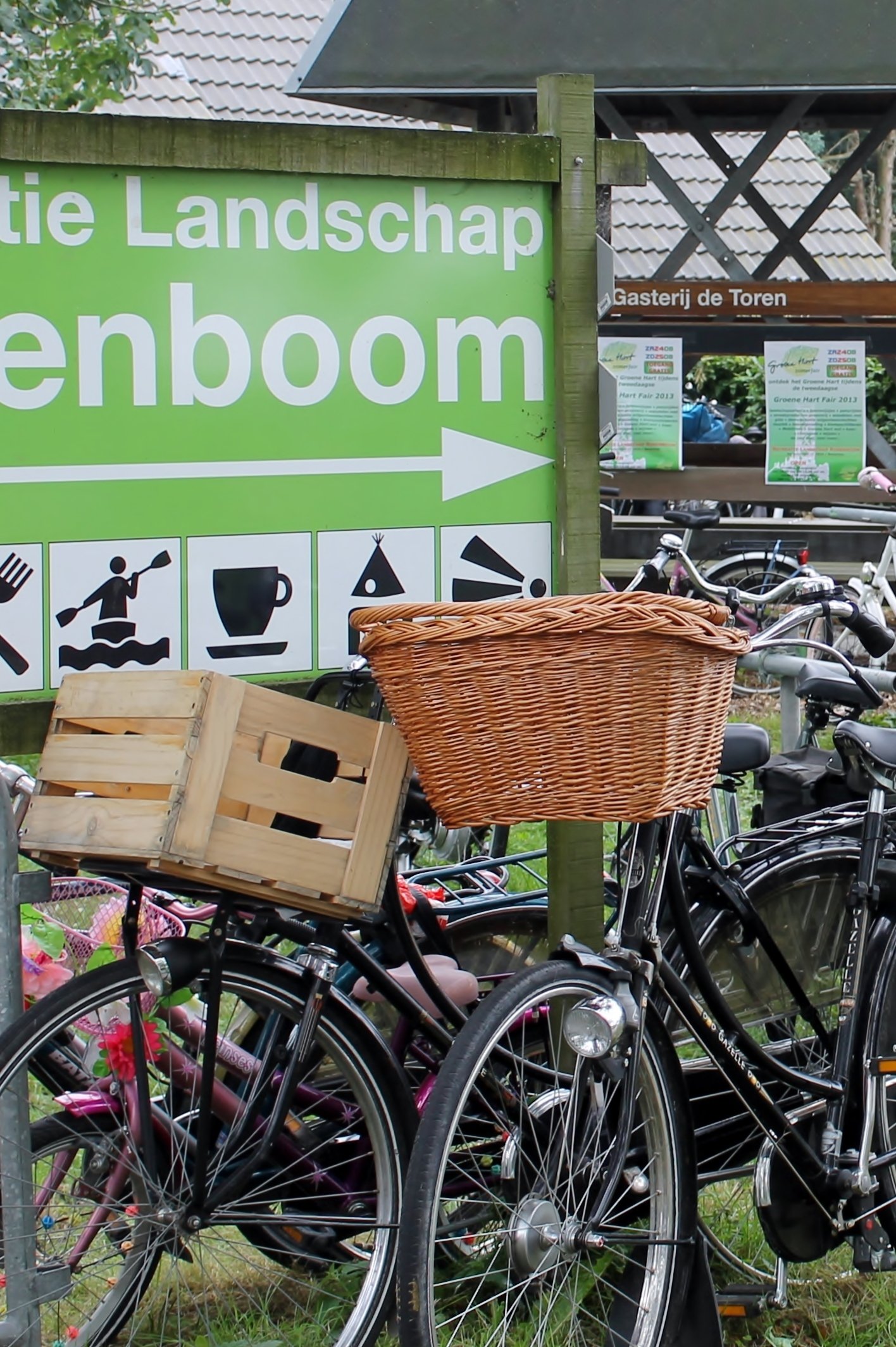 Recreatie_Landschap_Rosenboom_j_fiets