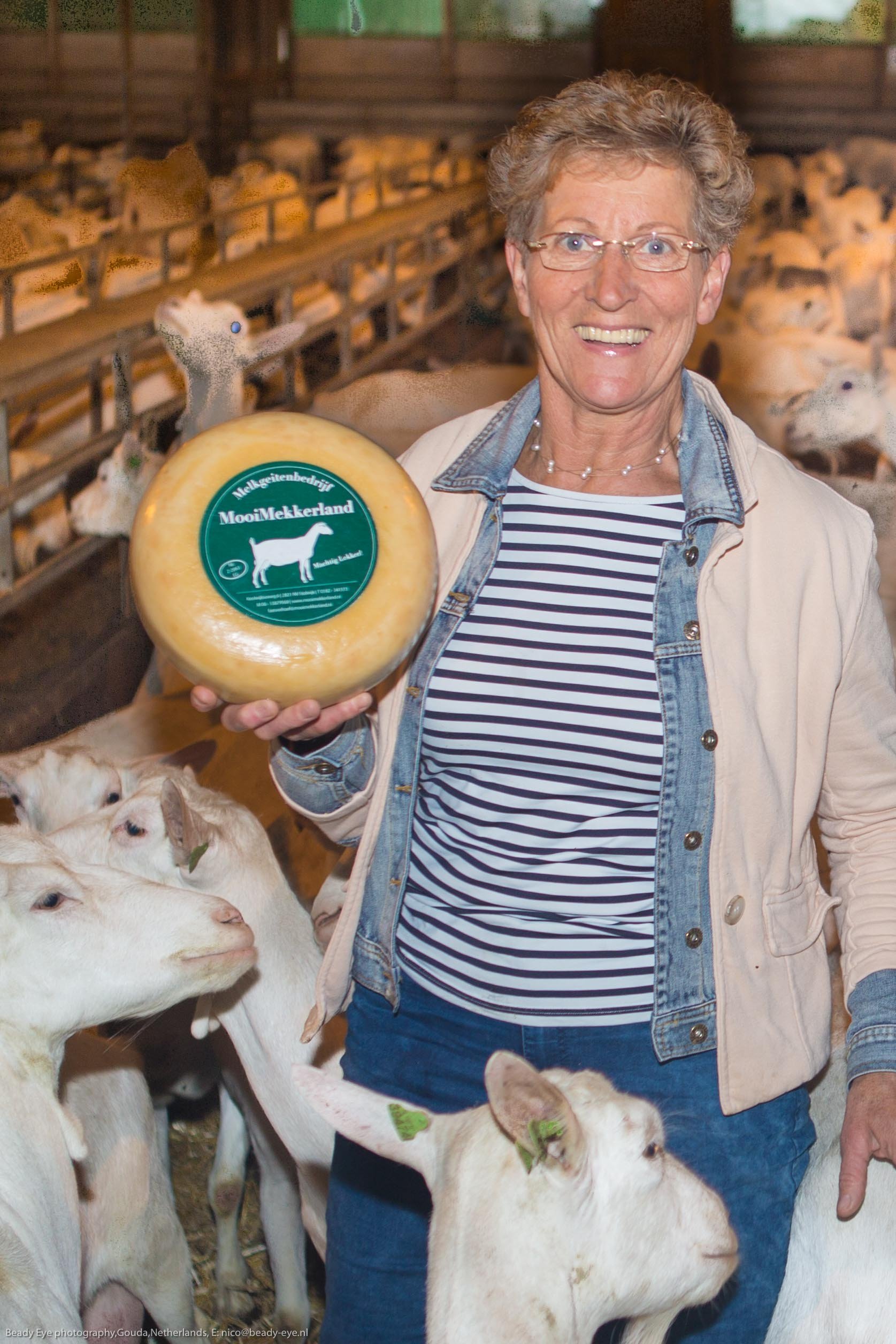 MooiMekkerland_d