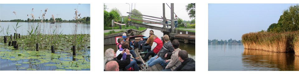 Watersnip_c