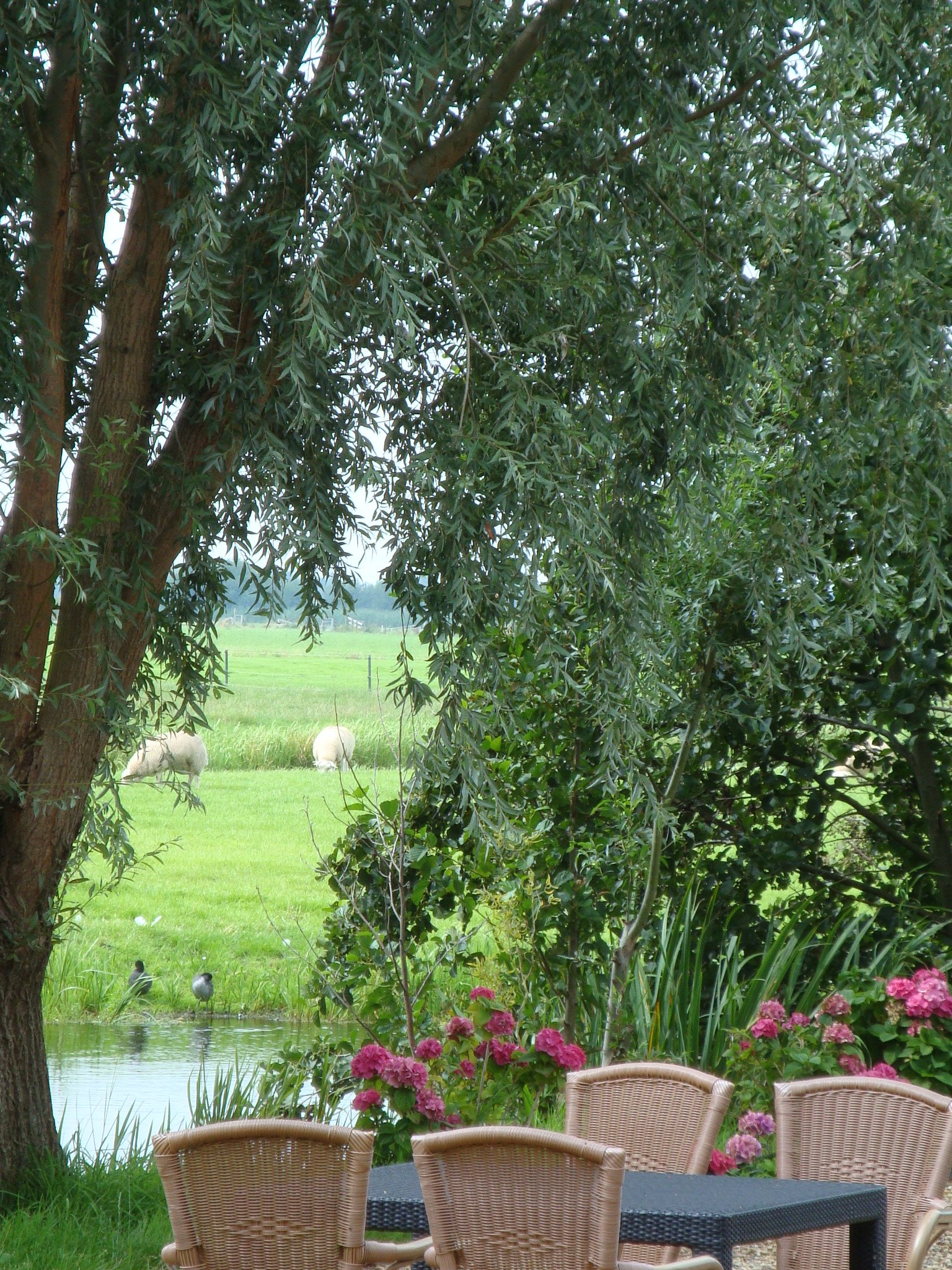 Steinse_Tuin_e