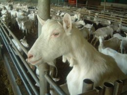 MooiMekkerland_b