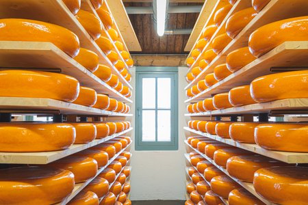 Kaaspakhuis Woerden - Cheese Experience