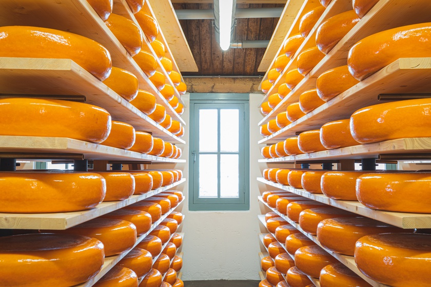 Cheese Experience - Kaaspakhuis Woerden